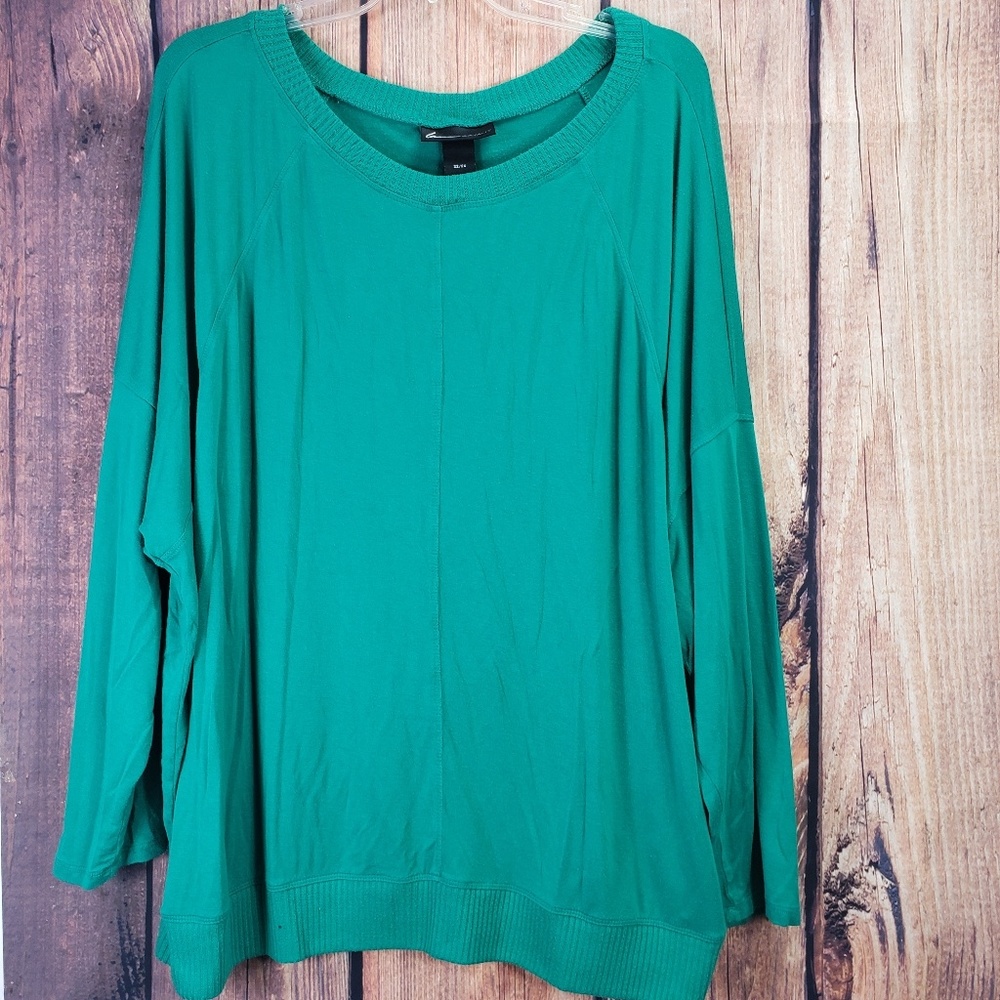 Lane Bryan tunic 3/4 Green Boat Neck